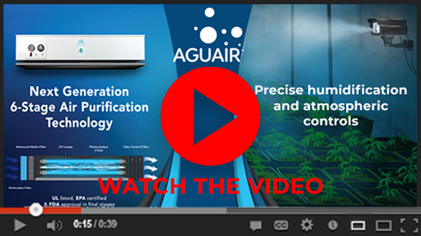 watch the video here